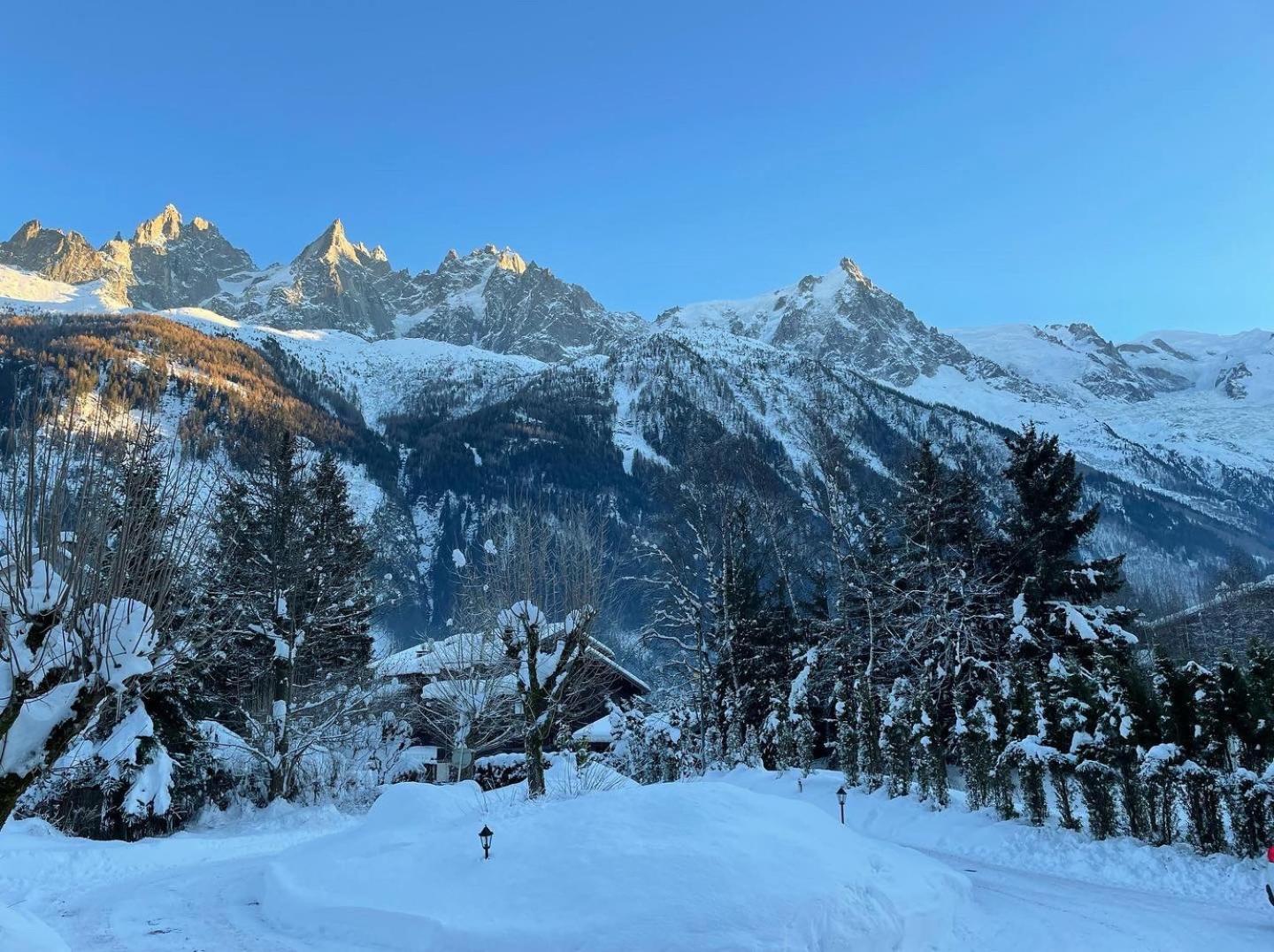 Chalet Hotel La Sapiniere シャモニー エクステリア 写真